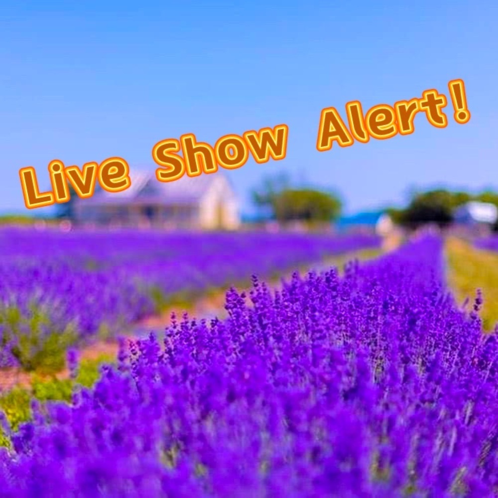 Hi!This is my live show notification listing📣